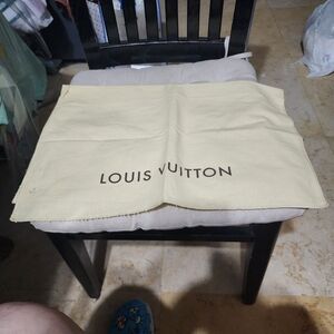 Louis Vuitton Beige Storage Bag